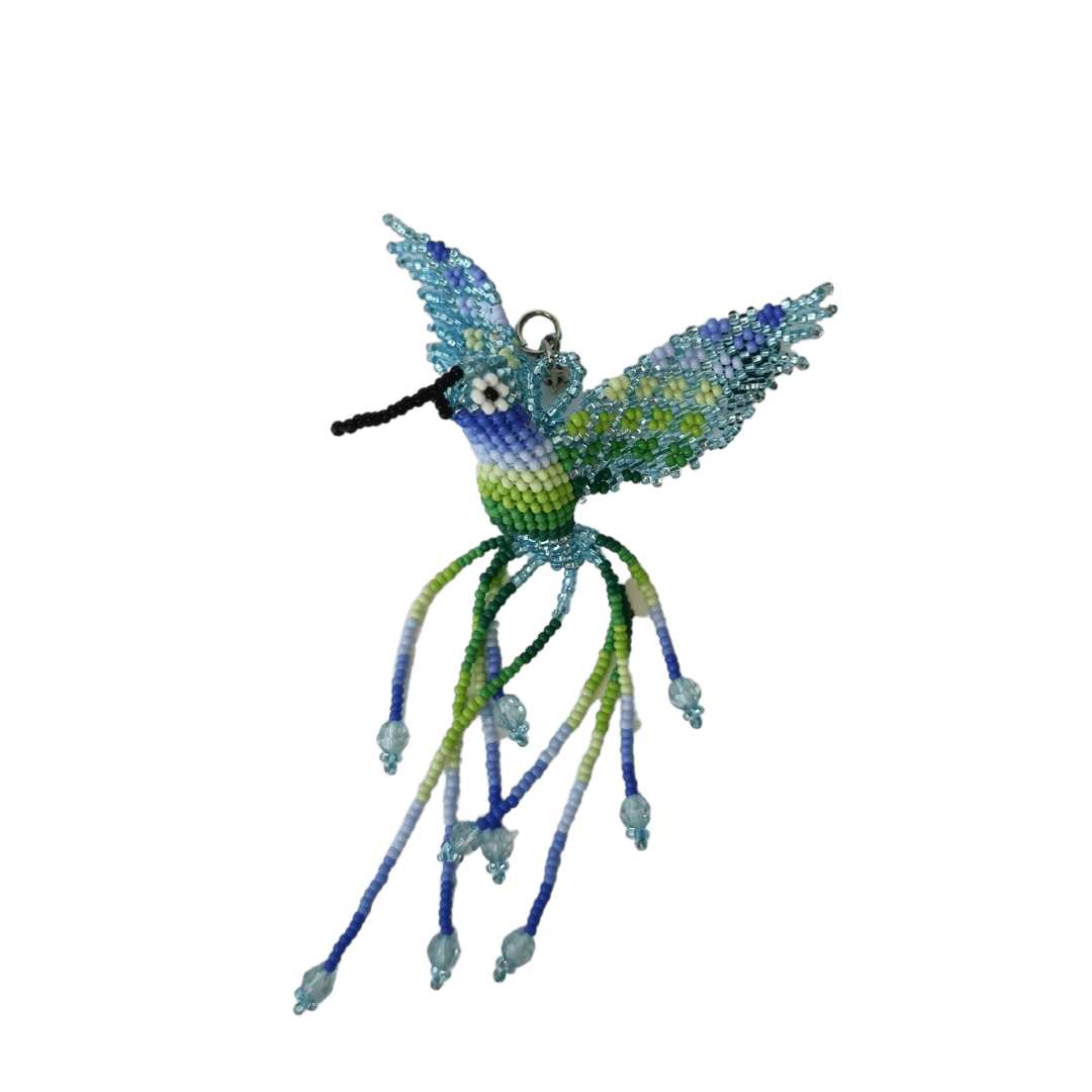 Colibrí Azul Turquesa