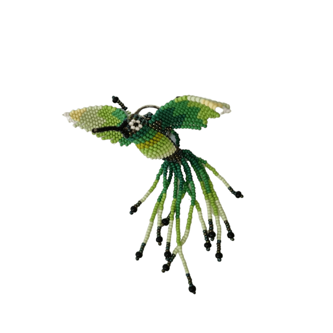 Colibrí Verde Esperanza