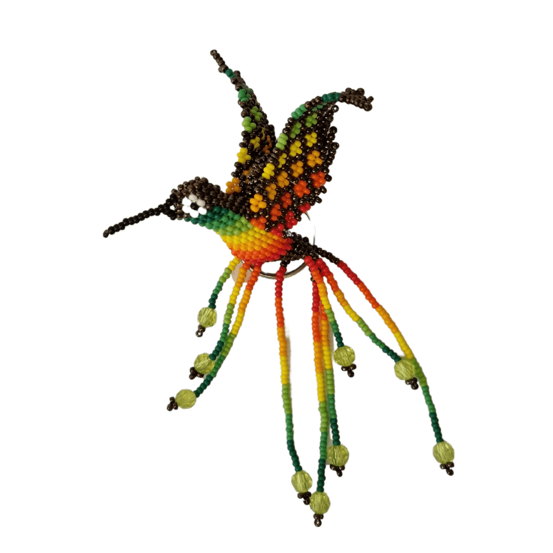 brown-passion-hummingbird-atma-vedan